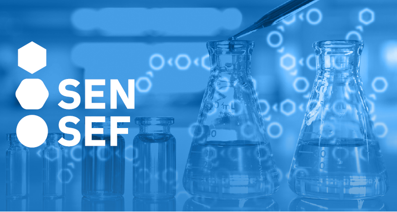 ГК «Миррико» совместно с Qiwi Blockchain Technologies (QBT) готовят для нефтехимической отрасли блокчейн-платформу SenSef